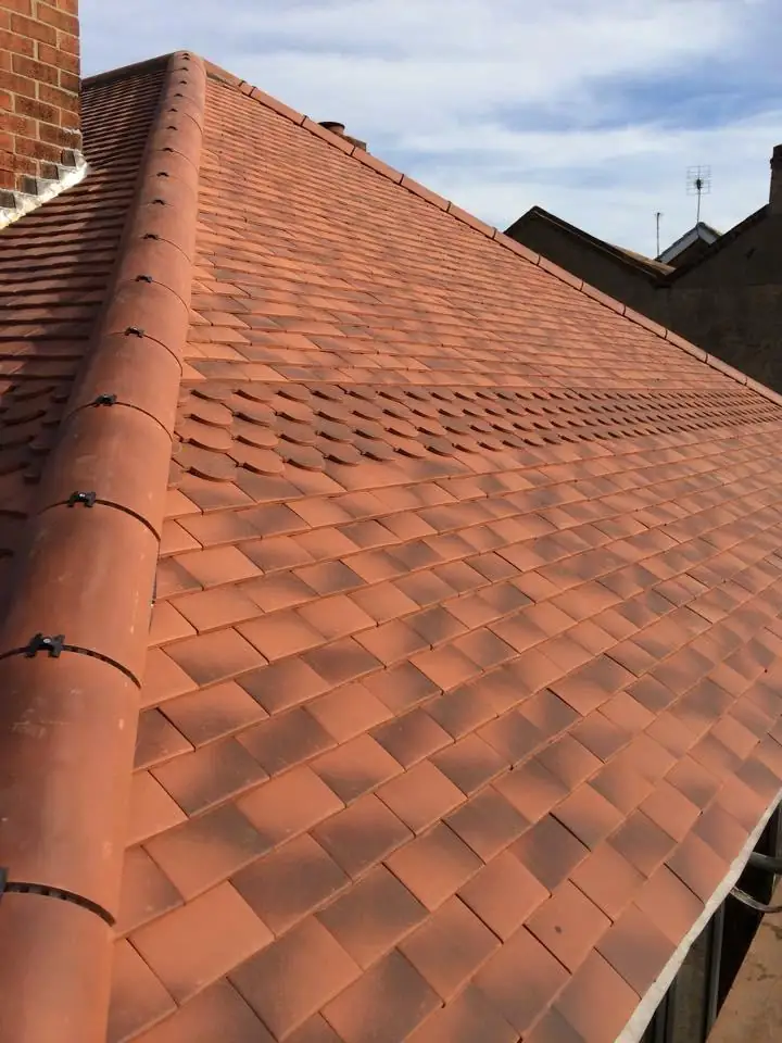 Terracotta pantile roof and ridge line finished on a semi detached house